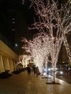 nyc043.jpg