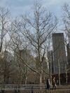 nyc057.jpg