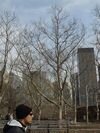 nyc058.jpg