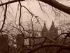 nyc077.jpg