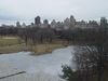 nyc079.jpg