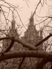 nyc080.jpg