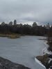 nyc081.jpg