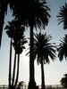 DSC01603.JPG