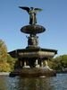 DSC01670.JPG