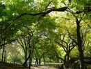 DSC01683.JPG